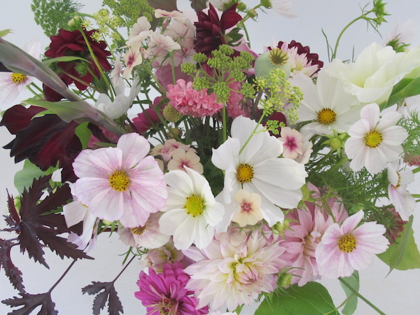 dahlia and cosmos bouquet